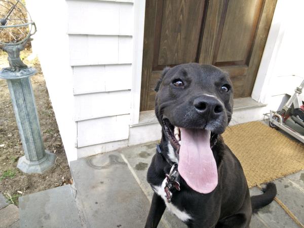 /Images/uploads/St Huberts Animal Welfare Center/sthuberts/entries/1870thumb.jpg